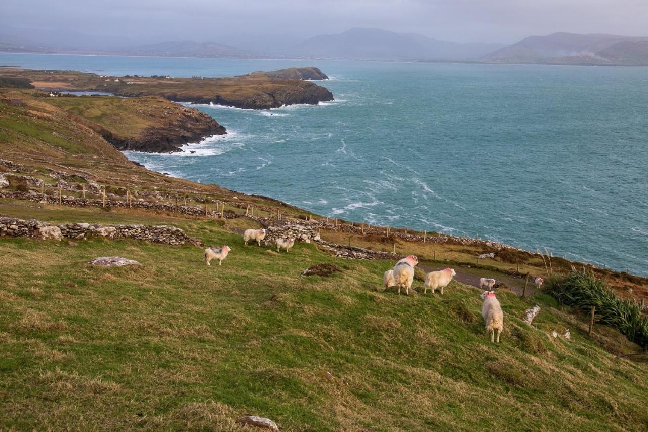 Skellig Port Accommodation - 1 Studio Bed Apartment Portmagee Bagian luar foto