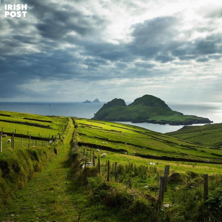 Skellig Port Accommodation - 1 Studio Bed Apartment Portmagee Bagian luar foto